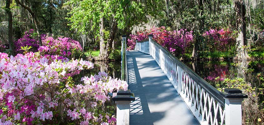 White Bridge Magnolia Plantation Charleston SC. &copy; 2014 Audra L. Gibson. All Rights Reserved.