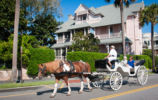 Palmetto Carriage Private Carriage tour on the Battery &copy; 2013 Audra L. Gibson