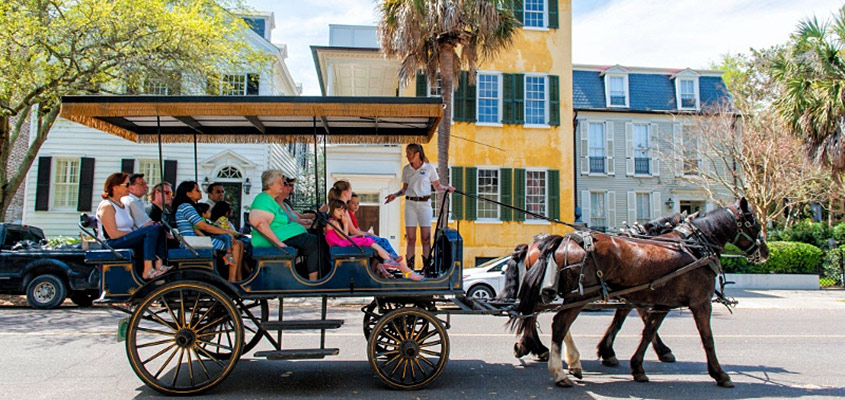 Palmetto Carriage Tour Group Tour
