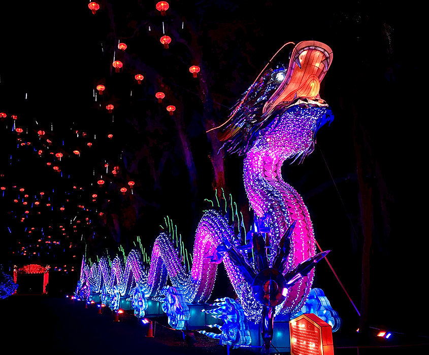 Dragon Chinese Lantern Festival Magnolia Plantation Charleston