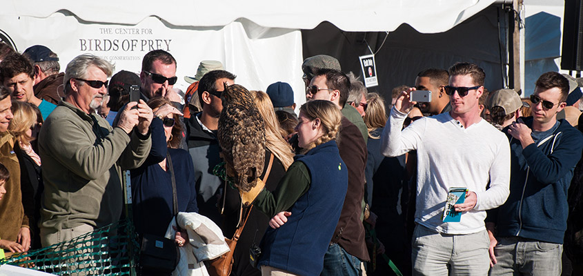 A crowd of onlookers learn about one of the owls cared for by the Birds of Prey Center. &copy; 2015 Audra L. Gibson.
