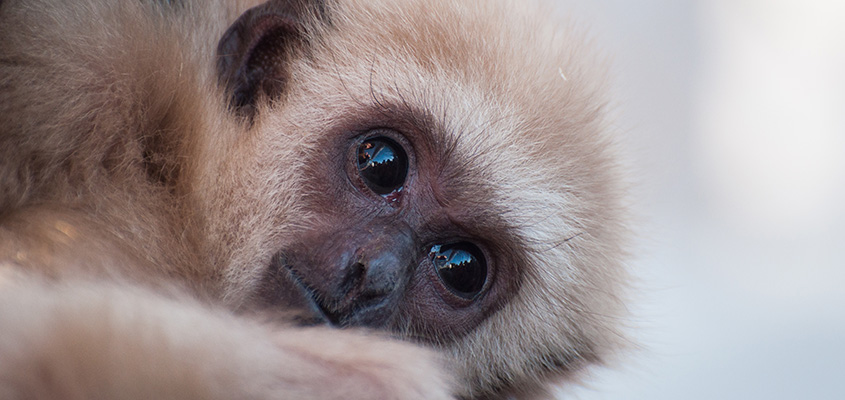 Put next year's expo on your calendar now. How can you say no to this face? &copy; 2015 Audra Gibson
